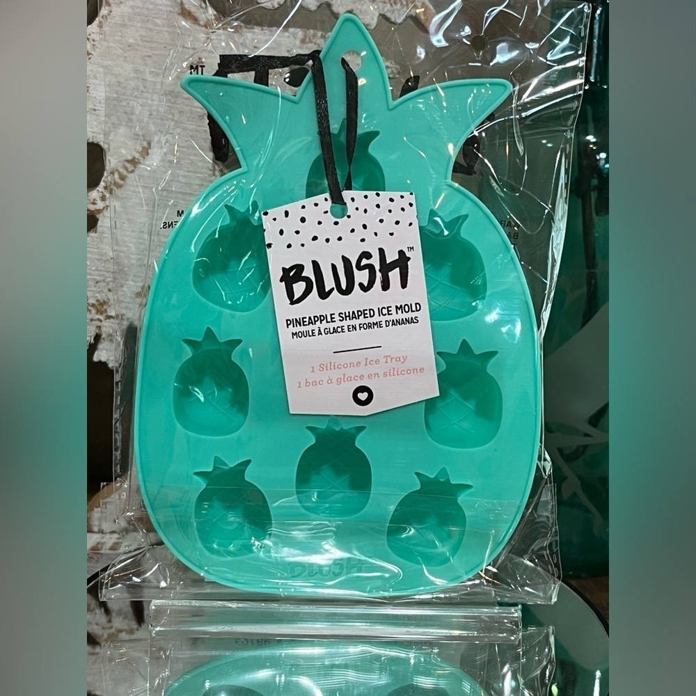 Blush Pineapple Silicone Ice Mold in Teal, new!